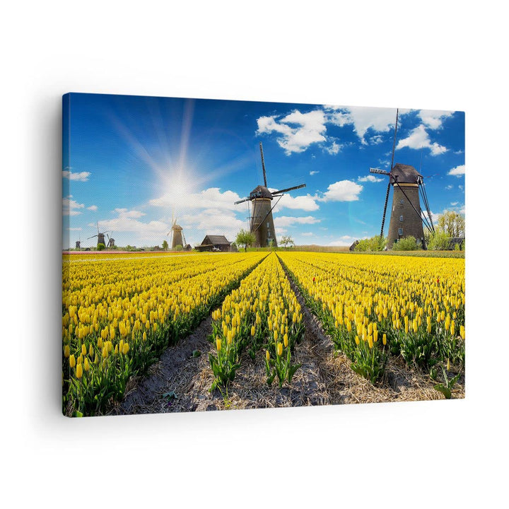 Bilder auf Leinwand Tulpen Windmühle Wiese Landschaft Leinwandbild 70x50cm Wandbilder Dekoration Woh