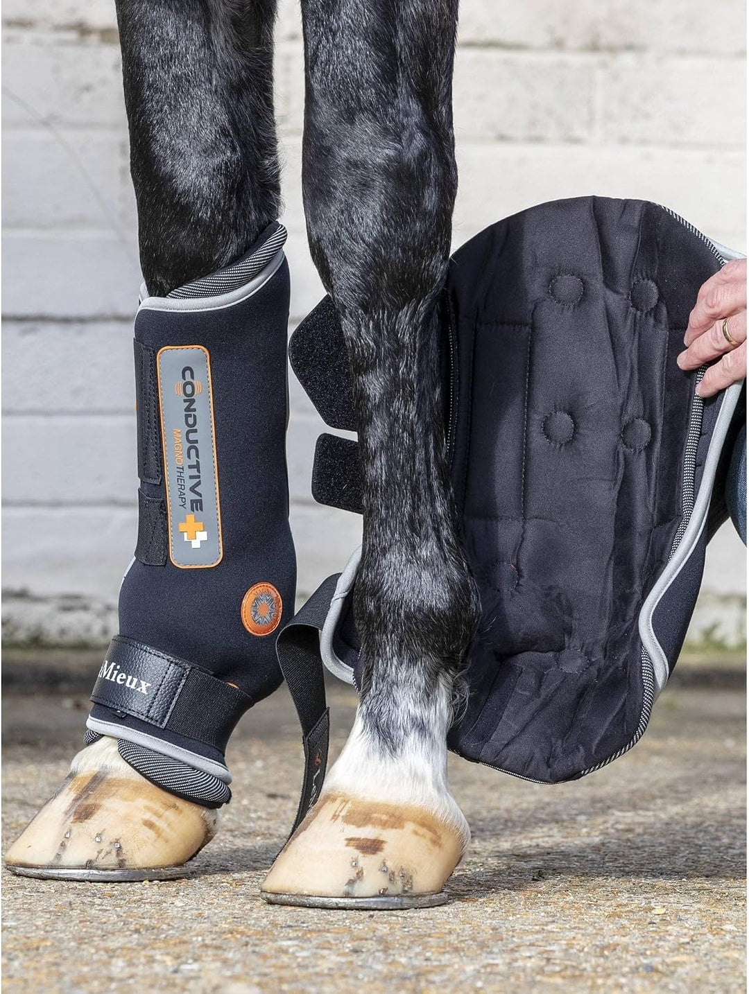 LeMieux Leitfähige Magno Stiefel XL Schwarze leitfähige Magno, XL Schwarze leitfähige Magno