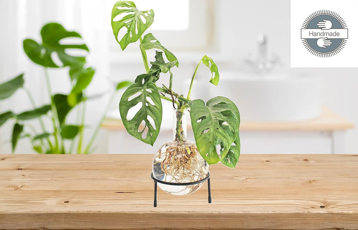Winkee - Hydrovase Flora 1,5 L | Blumenvase mit Metall-Ständer | Table Planter | Moderne Deko | Glas