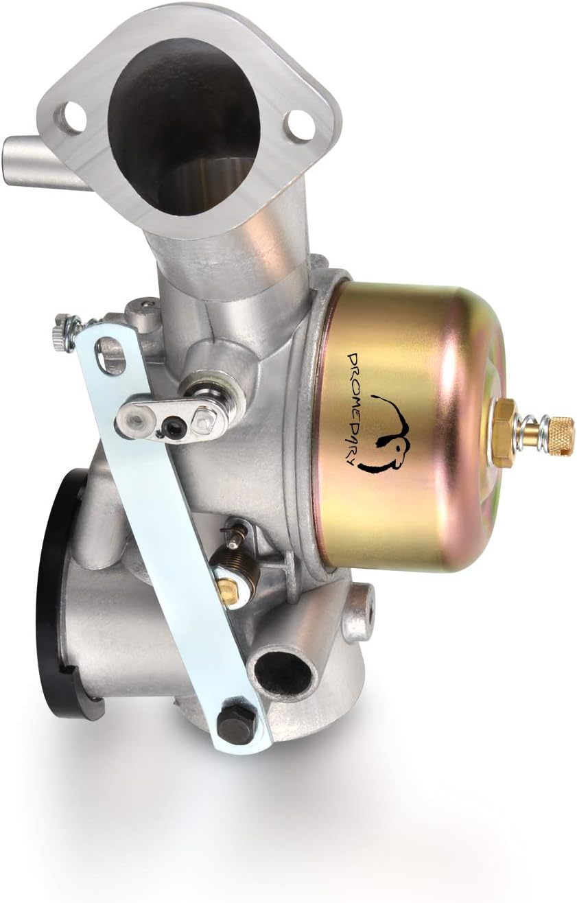 Dromedary Vergaser für Briggs & Stratton 491026 281707 491031 490499 281702