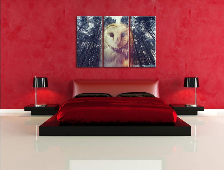 Pixxprint Portrait Einer Eule als Zeichen des Waldes 3-Teiler Leinwandbild 120x80 Bild auf Leinwand