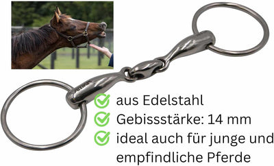 Wassertrense doppelt gebrochen Edelstahl massiv Stärke 14 mm, Ringe 65 mm, 11,5
