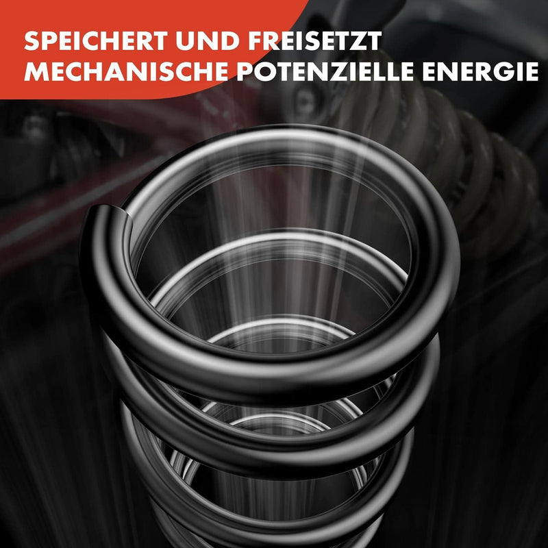 Frankberg 2x Federn Fahrwerksfeder Hinterachse Kompatibel mit TT 8J3 2.0L Coupe 2008-2014 Replace