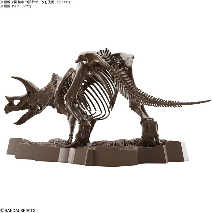 BANDAI Hobby - 1/32 imaginäres Skelett Triceratops