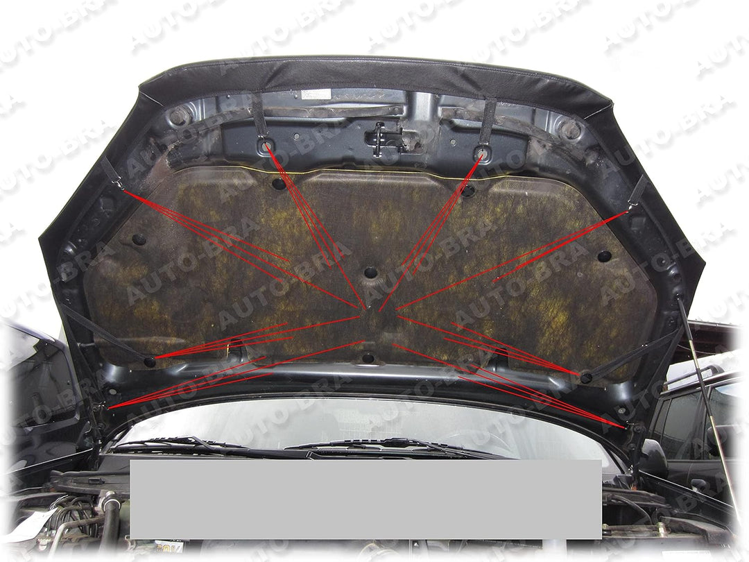 AB-00769 CARBON OPTIK AUTO BRA kompatibel mit Toyota RAV4 Bj. 2000-2006 Haubenbra Steinschlagschutz