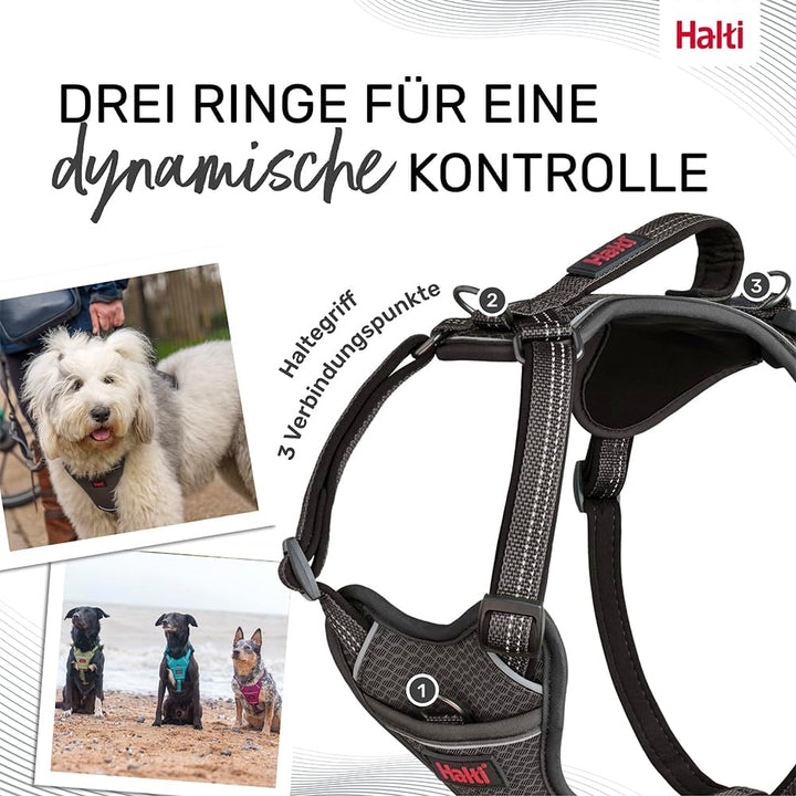 HALTI Anatomy Hundegeschirr mit Griff – Bewegungsfreiheit Hund. 3 Verbindungspunkte für die Leine, N
