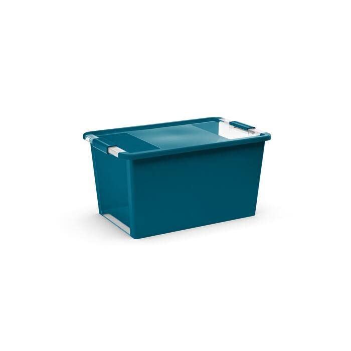 PROREGAL SuperSparSet 2x Mehrzweck Aufbewahrungsbehälter STORAGE mit Deckel | HxBxT 28x55x35cm | 40