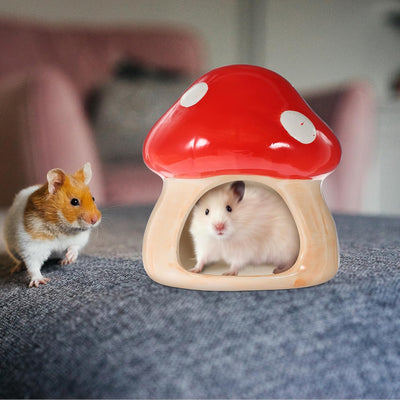 Mipcase Hamster Nest Aus Keramik Chinchilla- Hamster Verstecken Hamsternest Für Meerschweinchen Hams