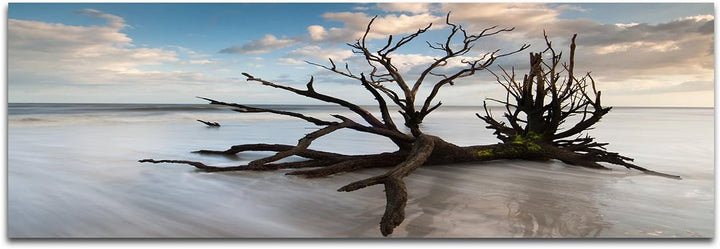 Augenblicke Wandbilder Leinwandbild als Panorama in 150x50cm Baum Geäst Nebel Wolken Himmel