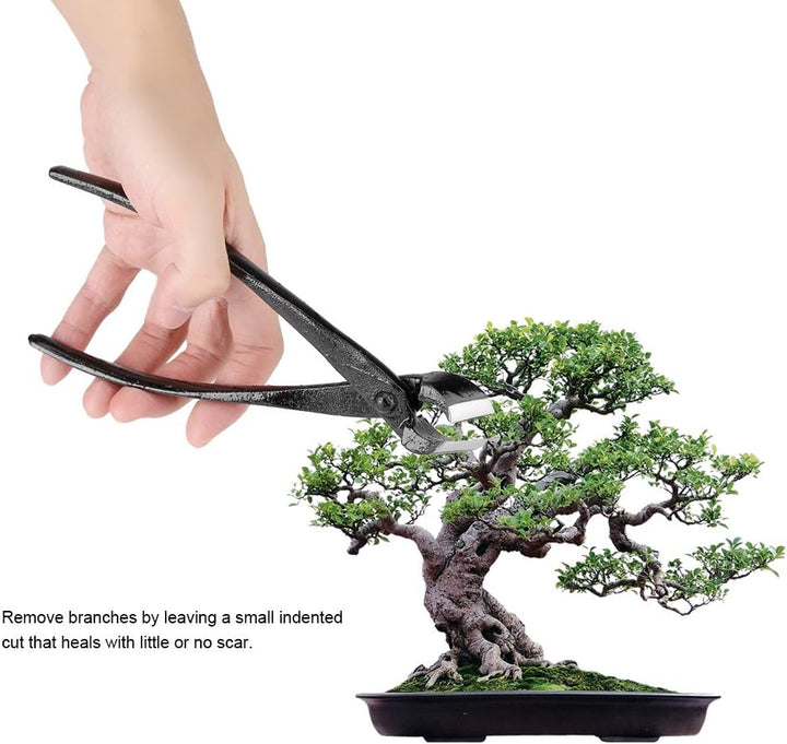Bonsai Tools Knopfschneider, 205 mm Zweigknopfschneider aus Zinklegierung mit runder Gartenschneide