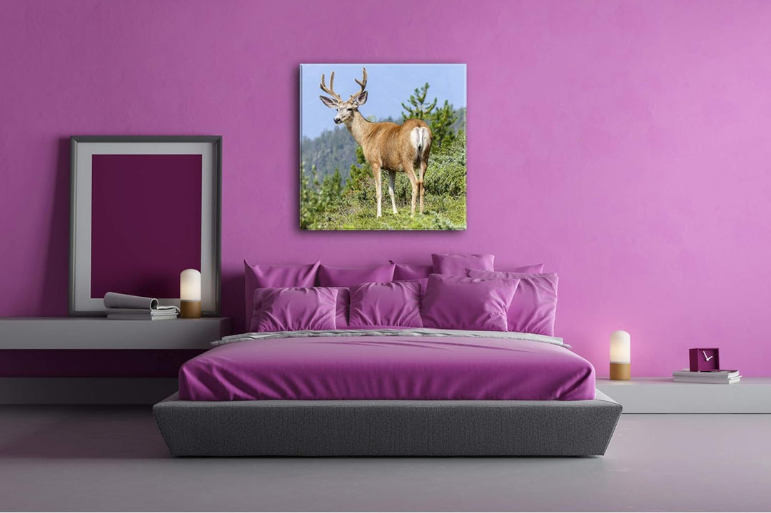 deyoli Beeindruckender Elch Format: 60x60 als Leinwandbild, Motiv fertig gerahmt auf Echtholzrahmen,