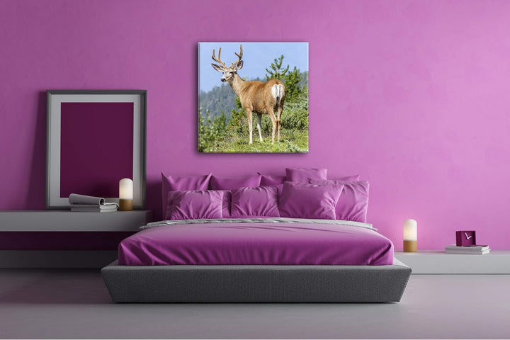 deyoli Beeindruckender Elch Format: 60x60 als Leinwandbild, Motiv fertig gerahmt auf Echtholzrahmen,