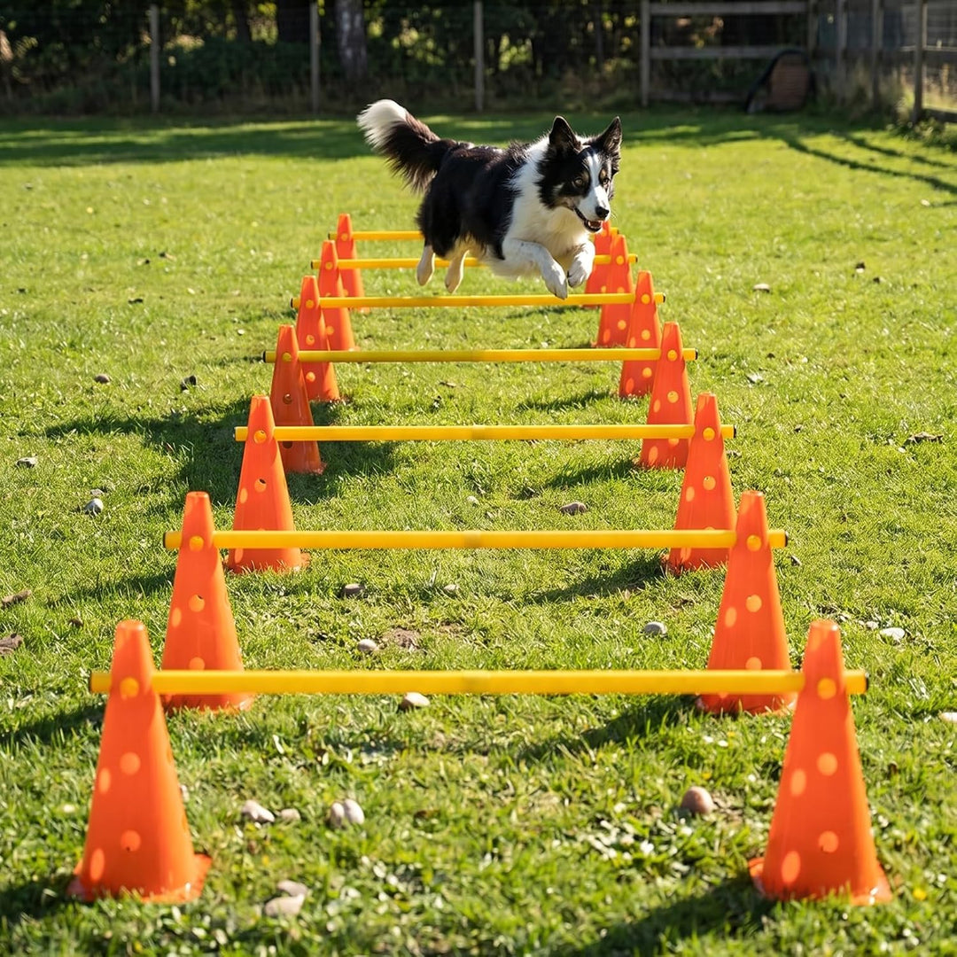 6er Agility Set Hunde,Agility Hürden Steckhürden Set,Steckhürdenset für Koordinationstraining,12 Keg