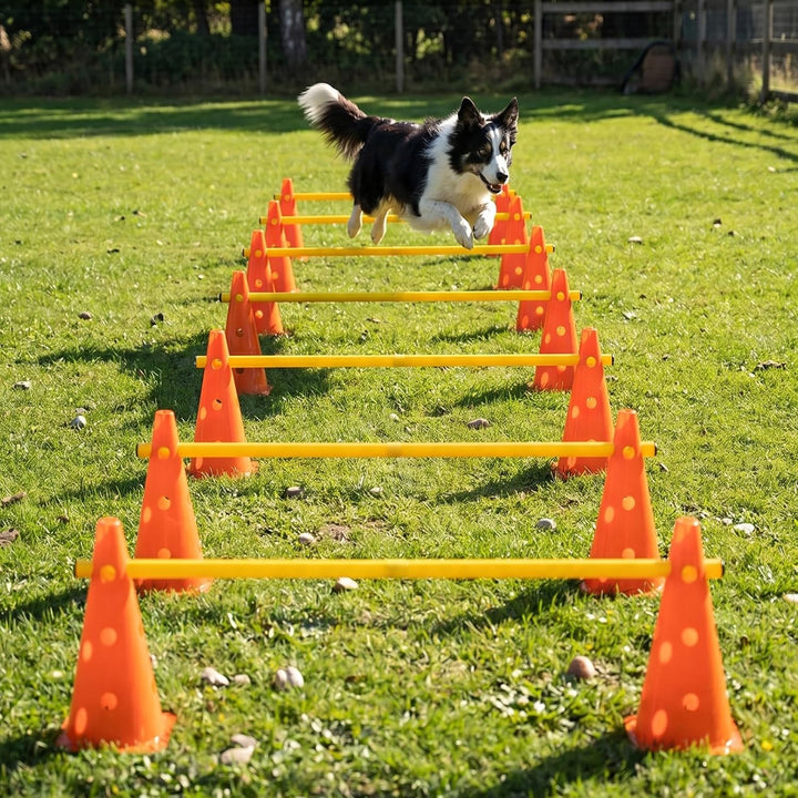 6er Agility Set Hunde,Agility Hürden Steckhürden Set,Steckhürdenset für Koordinationstraining,12 Keg