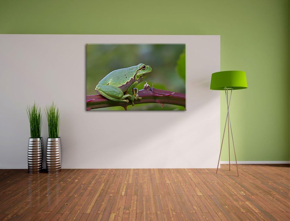 kleiner Frosch auf Dornenast Leinwand, XXL riesige Bilder fertig gerahmt mit Keilrahmen, Kunstdruck