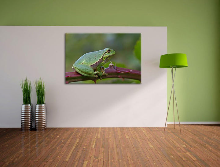 kleiner Frosch auf Dornenast Leinwand, XXL riesige Bilder fertig gerahmt mit Keilrahmen, Kunstdruck