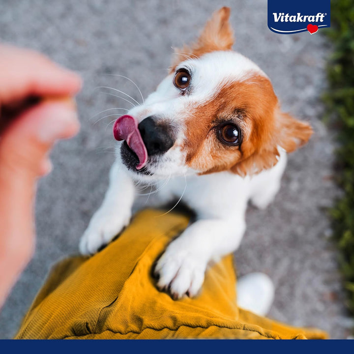 Vitakraft Entenfleischstreifen XXL, Hundesnack mit magerem Entenfleisch, im wiederverschliessbaren X