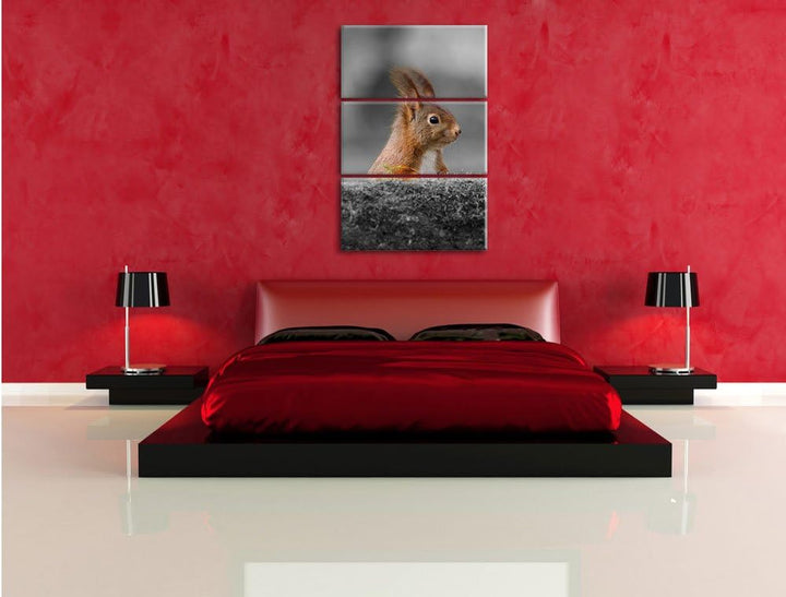 Pixxprint lustiges Eichhörchen hinter Baumstamm schwarz/weiss 3-Teiler Leinwandbild 120x80 Bild auf