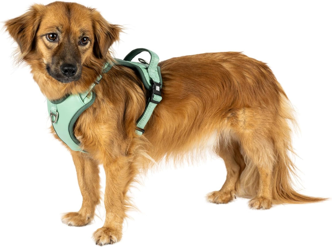 Max & Molly Sport Hundegeschirr Mittelgrosse Hunde mit Gotcha! Smart ID Sicherheitsanhänger, Matrix