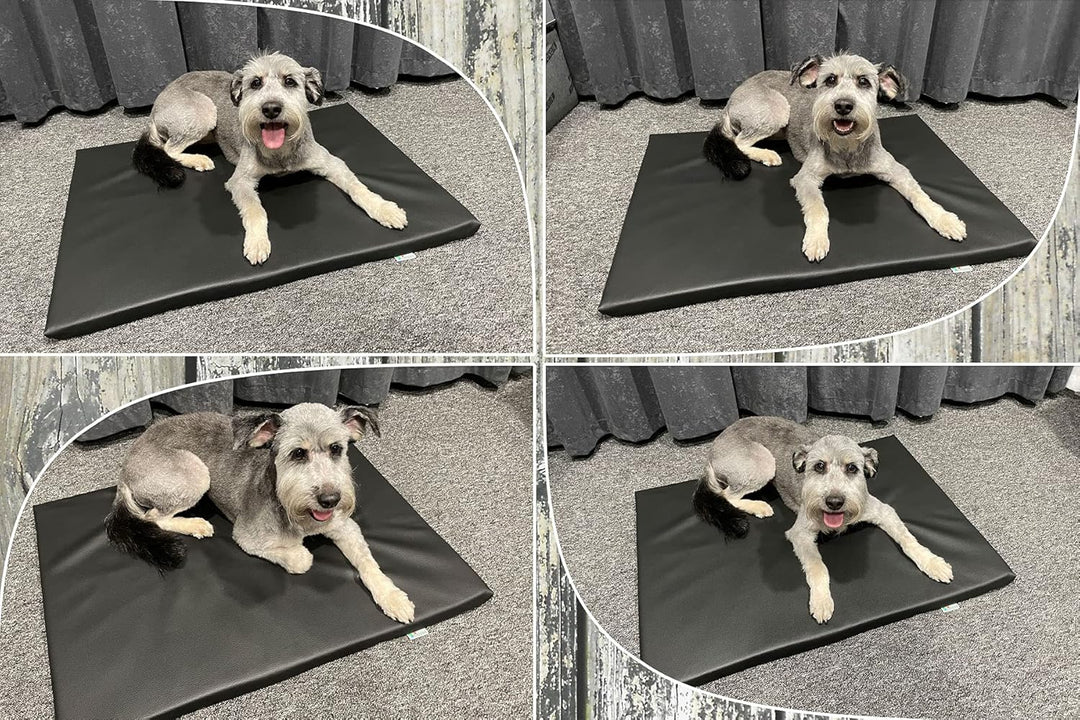FORTISLINE Hundematte XL 120x90 cm - Hundebett aus Kunstleder - Hundekissen abwaschbar und pflegelei