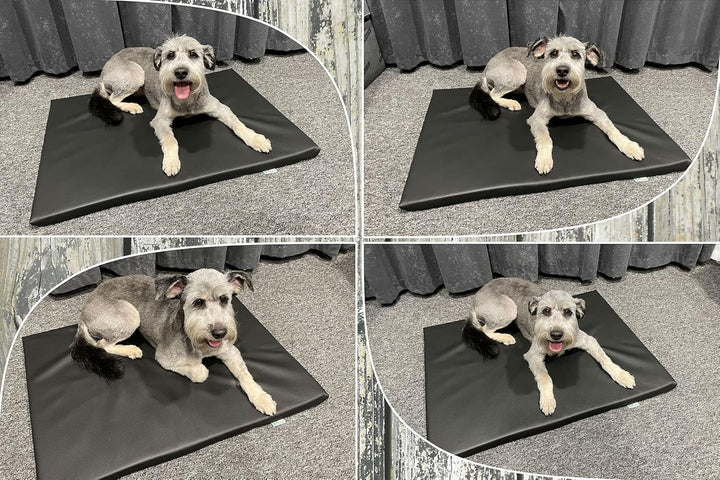 FORTISLINE Hundematte XL 120x90 cm - Hundebett aus Kunstleder - Hundekissen abwaschbar und pflegelei