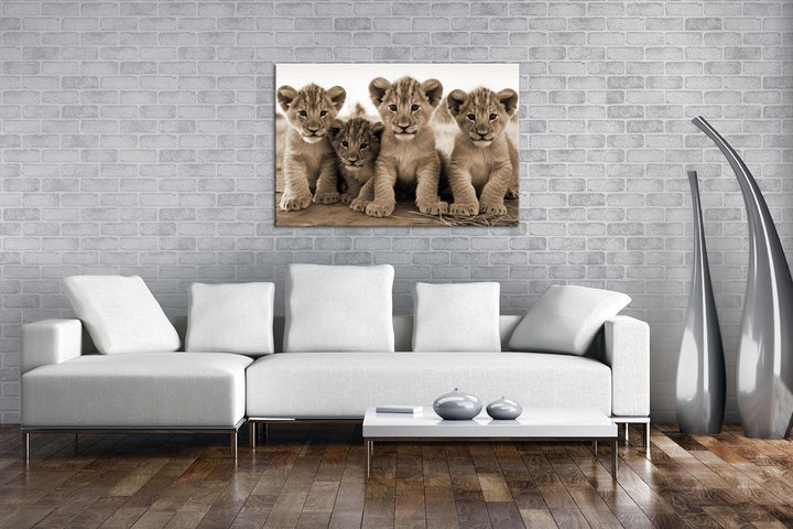 deyoli Löwenjungen in Afrika Format: 60x40 cm Effekt: Sepia als Leinwandbild, Motiv fertig gerahmt a