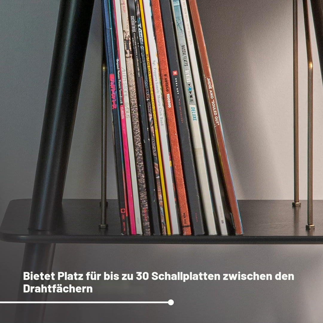 Crosley Manchester Schallplattenständer - Schallplatten Aufbewahrung - Passend für Alle Plattenspiel