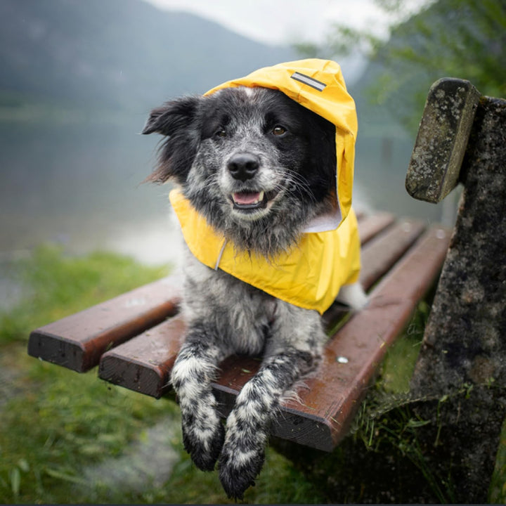 Idepet Regenmantel für Hunde mit Kragenloch Wasserdicht Reflektierend Winddicht Poncho Regenjacke mi