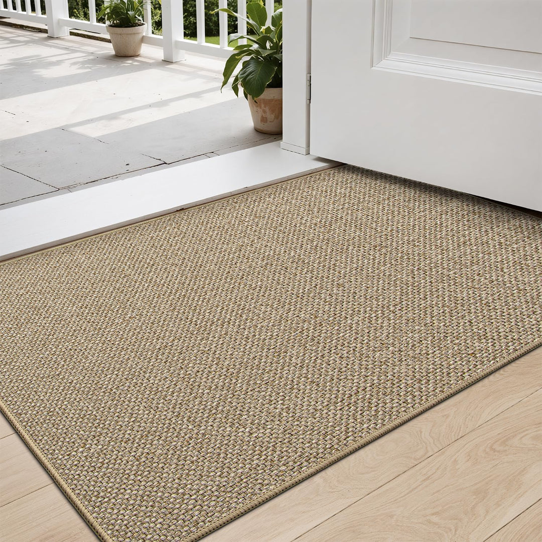 DEXI Fussmatte Innen 44 x 75cm, rutschfest Schmutzfangmatte, waschbar Fussmatte, Dünne Eingangstürma