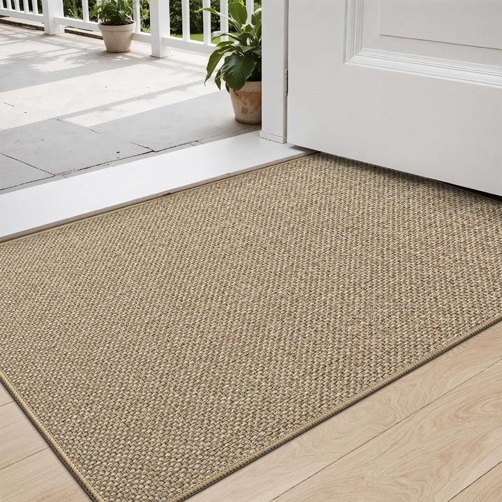 DEXI Fussmatte Innen 44 x 75cm, rutschfest Schmutzfangmatte, waschbar Fussmatte, Dünne Eingangstürma