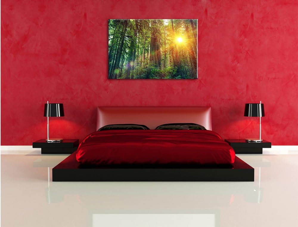 Wald bei Sonnenlicht, Format: 100x70 auf Leinwand, XXL riesige Bilder fertig gerahmt mit Keilrahmen,