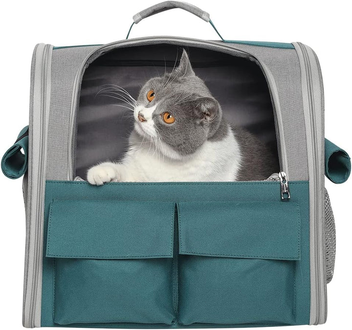 Transporttasche für Haustiere Katzen Hunde 10kg, Tragbare Rucksack Grosser Geräumig 4 Eintritt Top Ö