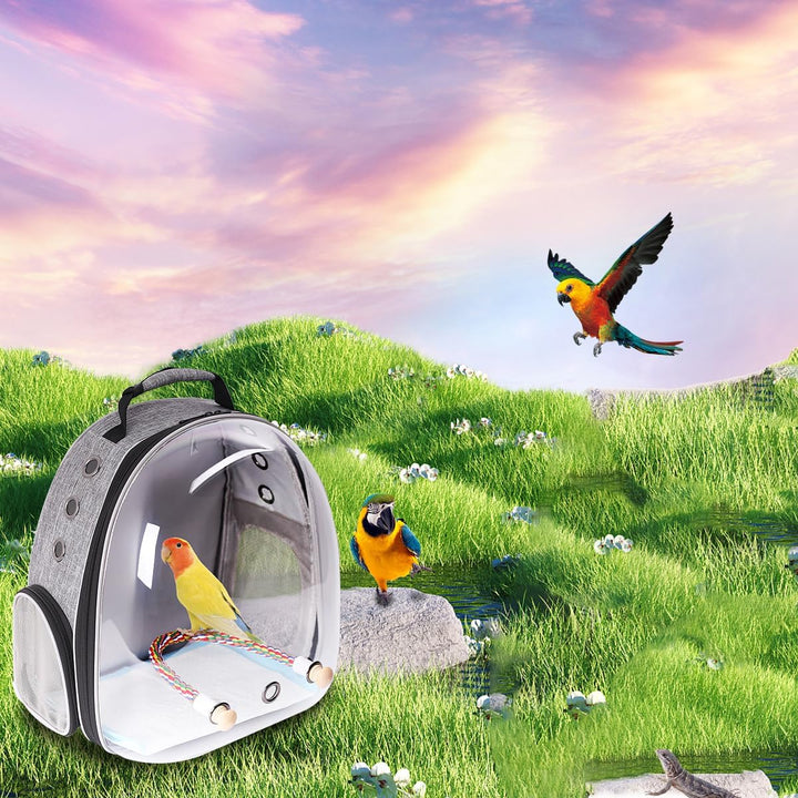 Interfashioner® Bird Carrier Rucksack, Bubble Bird Travel Carrier Backpack with Absorbent Pad and St