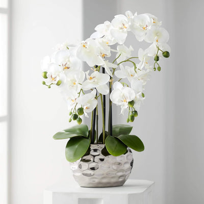 Dahlia Studios Kunstpflanze Orchidee Phalaenopsis mit silber-farbigem Keramiktopf - ca. 53cm hoch (w