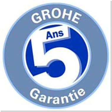 GROHEBauLoop - Einhand-Spültischbatterie (DN15, Einlochmontage, Schwenkbereich 360°), chrom, 3136800