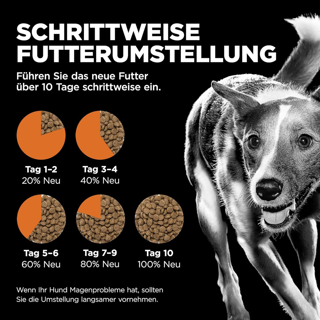 Go! Solutions Skin + Coat Care Getreidehaltige Rezeptur für Hunde Lachs, 1,6-kg-Beutel