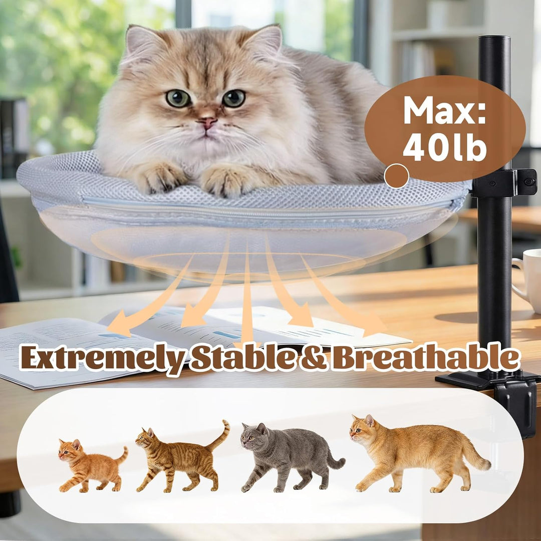 Katzenbett für Schreibtisch, Hängebett für Katzen 360 ° drehendes & höhenverstellbar mit Hängeball,