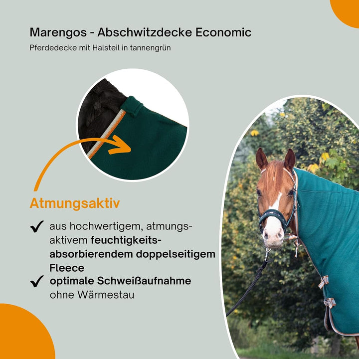 Marengos - Abschwitzdecke Economic mit Halsteil | Pferdedecke m. Kreuzgurt, Metallverschluss, Schwei
