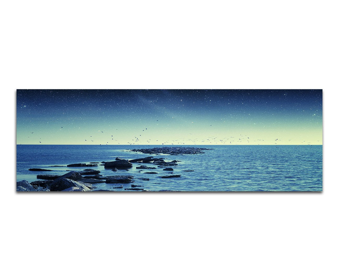 Paul Sinus Art Panoramabild auf Leinwand und Keilrahmen 150x50cm Meer Steine Vögel Morgengrauen Ster