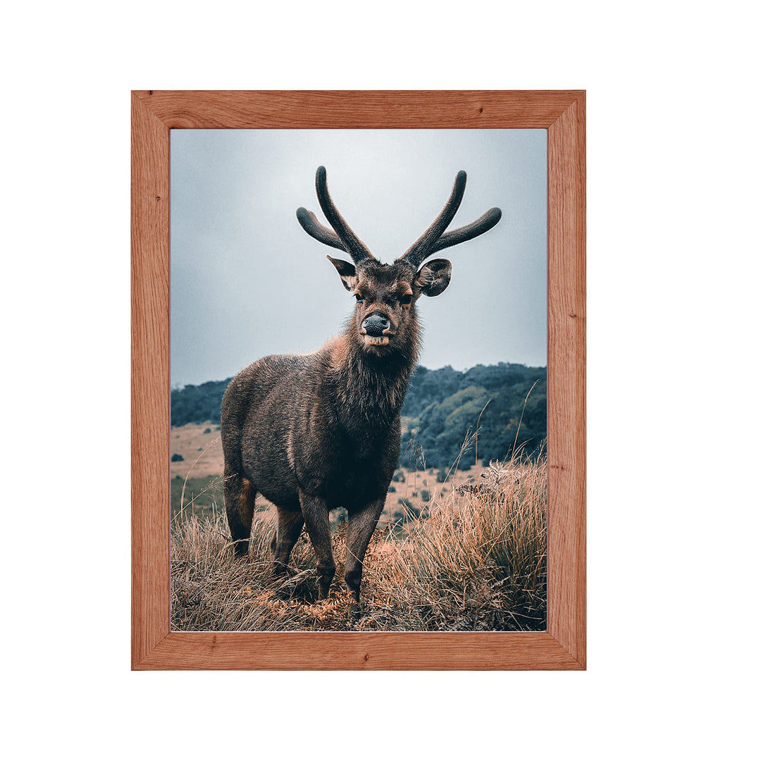 Rahmendesign24 Posterrahmen Rio 50x70 Eiche natur Fotorahmen, Wechselrahmen, Bilderrahmen, 50x70 Eic
