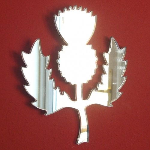 Super Cool Creations Distel Spiegel – 50 cm x 44 cm 50cm x 44cm, 50cm x 44cm