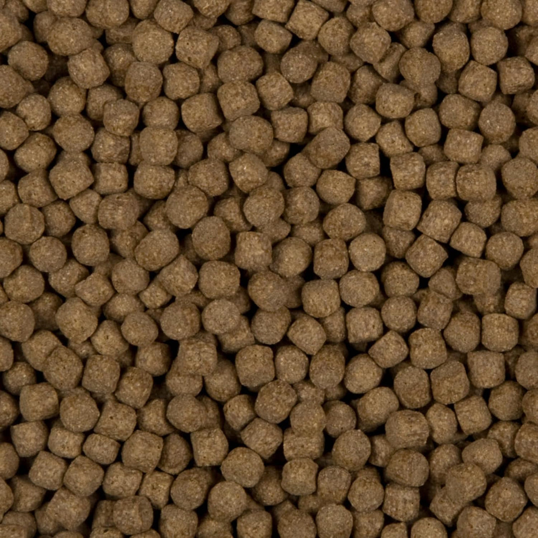 Velda SaniKoi 124550 Basisfutter für Teichfische, Treibend, 6 mm, Staple Prime, 10 l