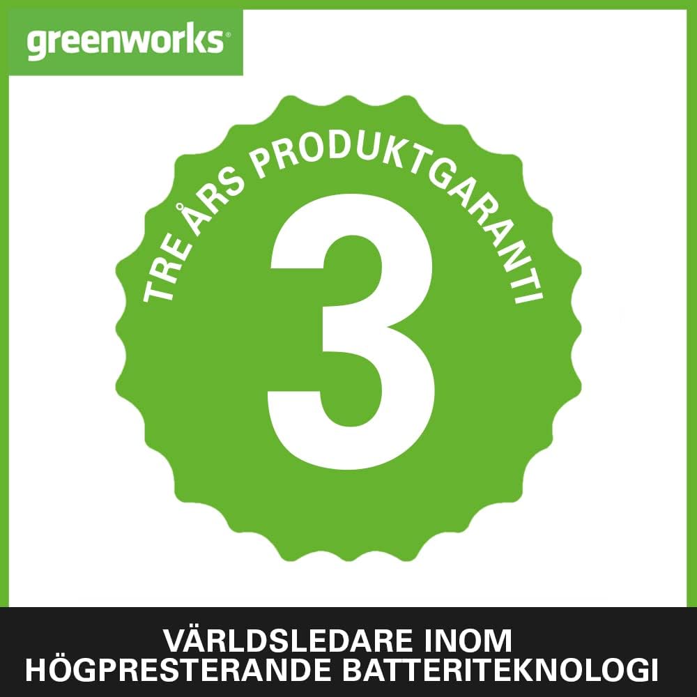 Greenworks 40V Akku Ladegerät - 40V 5A Schnellladegerät, erhöht die Batterielebensdauer, schnelles A