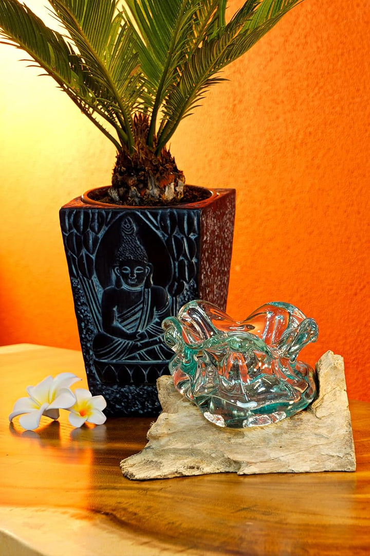 Kinaree Geschmolzenes Glas auf Wurzelholz - Glasschale auf Wurzel - Teak Holz mit Glasvase oder Scha