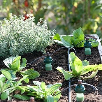 Sustainable Village Tropf-Blumat 33000 Maxi-Sensoren Blumat Karotten für automatische Bewässerung, 2