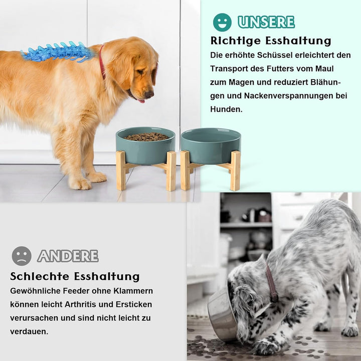 SPUNKYJUNKY Hundenapf Keramik Erhöhter Futternapf Set mit Bambus Ständer für Katzen und Hunde (1800m