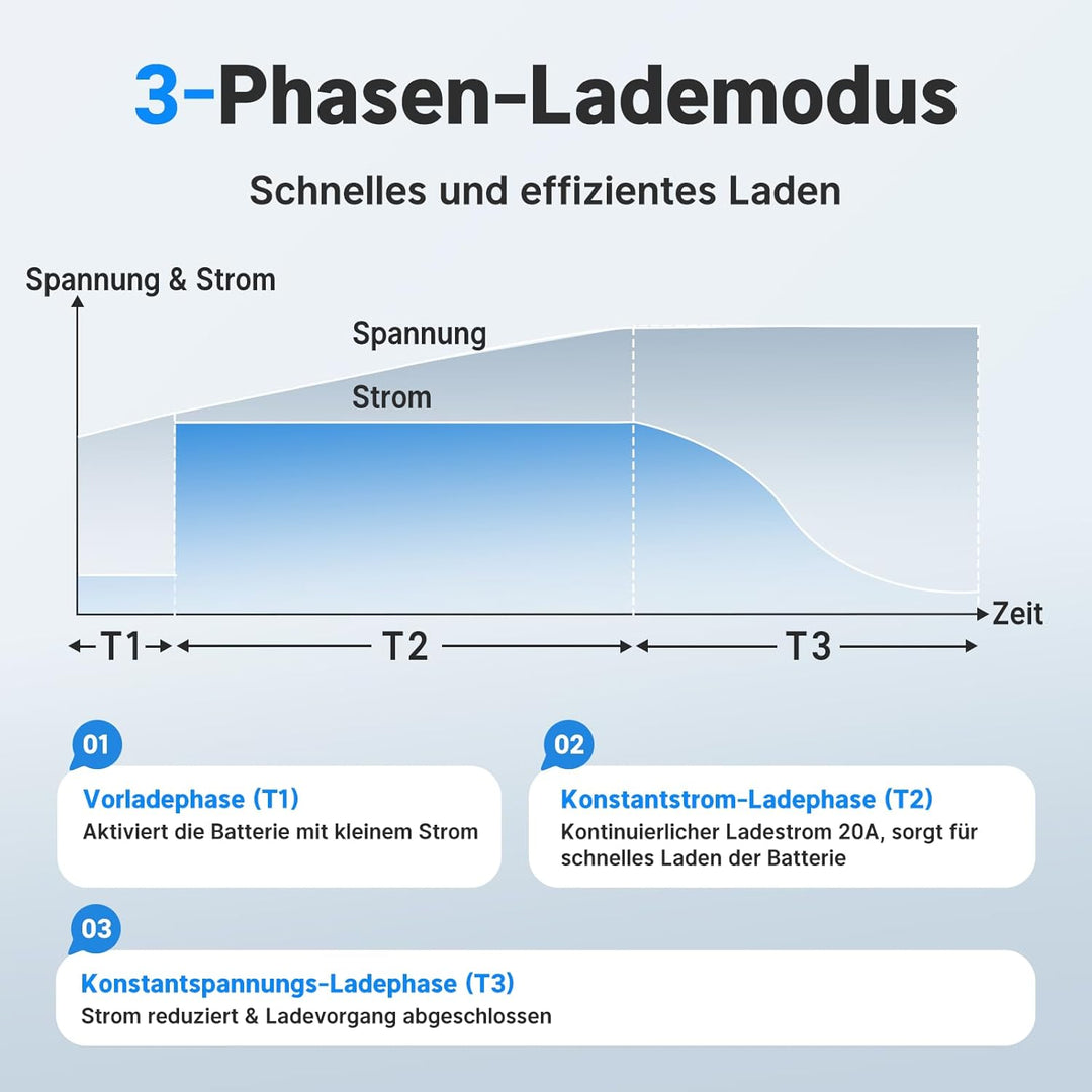Redodo LiFePO4 Ladegerät 29,2V 20A, Schnelles AC-DC Ladegerät für Batterien, Geeignet für LiFePO4 Ba