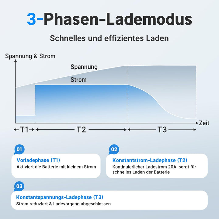 Redodo LiFePO4 Ladegerät 29,2V 20A, Schnelles AC-DC Ladegerät für Batterien, Geeignet für LiFePO4 Ba