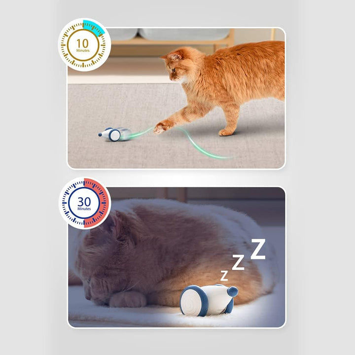 INF Katzenspielzeug Elektrisch Spielmaus, Spielmäuse für Katze mit Leuchtschwanz, Interaktive Spielz