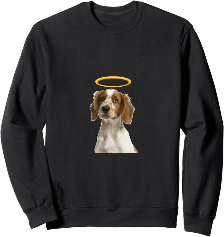 Holy Dog Welsh Springer Spaniel Sweatshirt